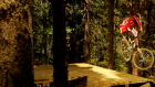 Wood drop Vallnord Wood drop Vallnord
